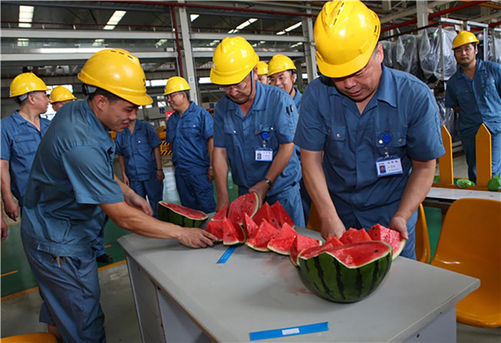 江蘇三合一送料機(jī)廠送西瓜