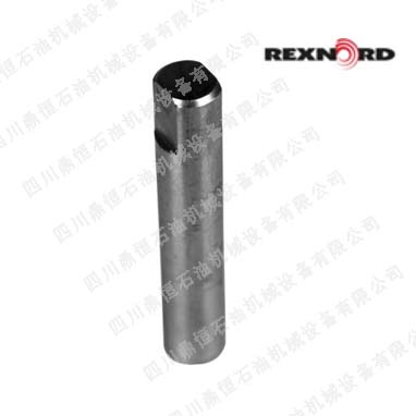 Rexnord�{(di��o)���U10309104